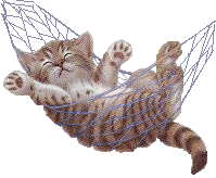 cathammock1.gif